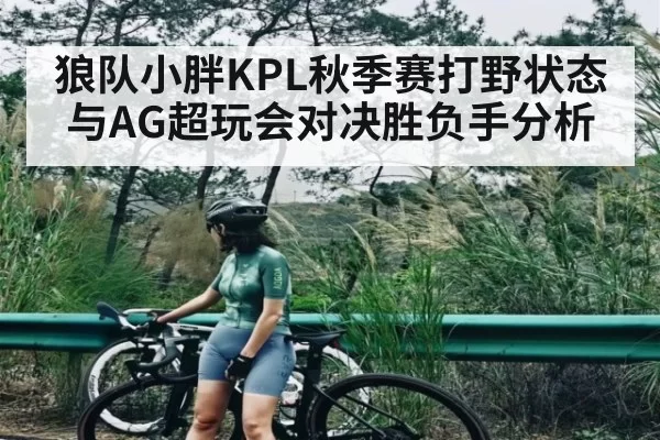 狼队小胖KPL秋季赛打野状态与AG超玩会对决胜负手分析